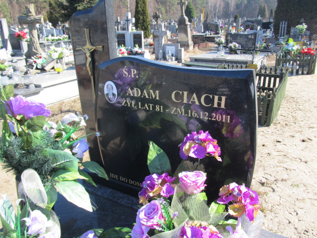 Adam Ciach Paradyż - Grobonet - Wyszukiwarka osób pochowanych